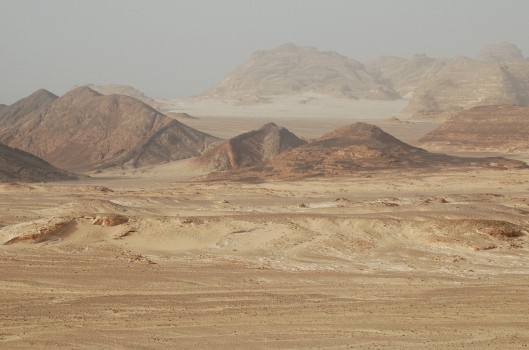 sinai