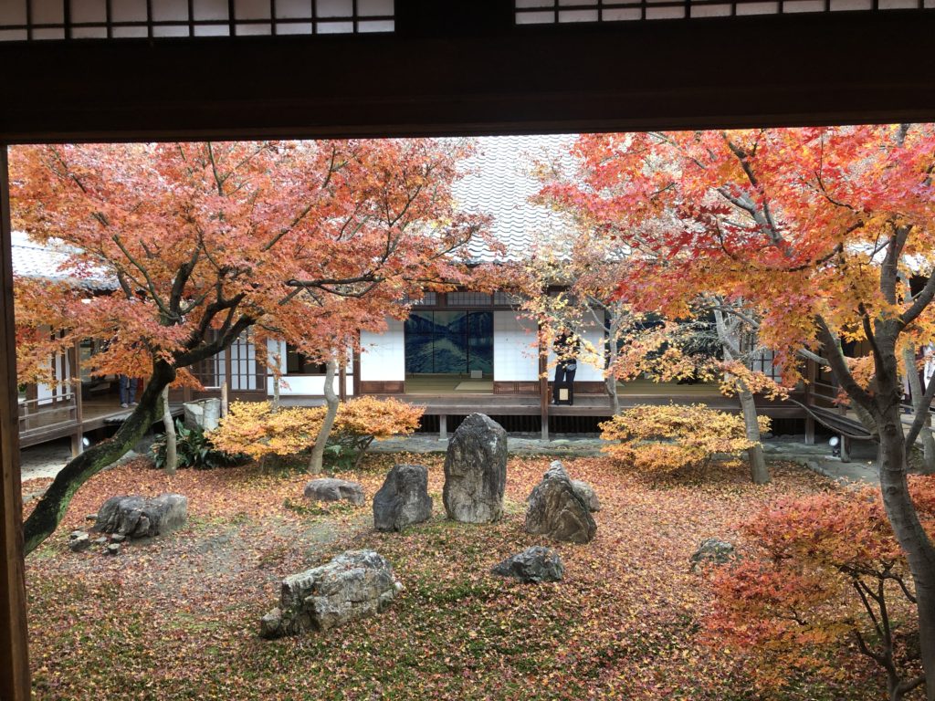 kenninji autumn