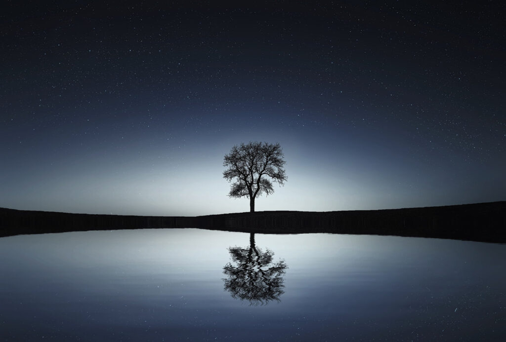 tree-reflection-pikist-public-domain